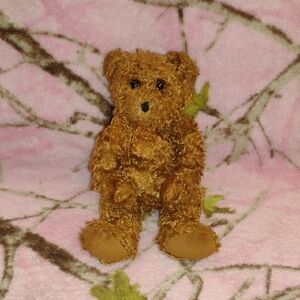 🩷4/$20🩷 TY Beanie Baby "Hawthorne"